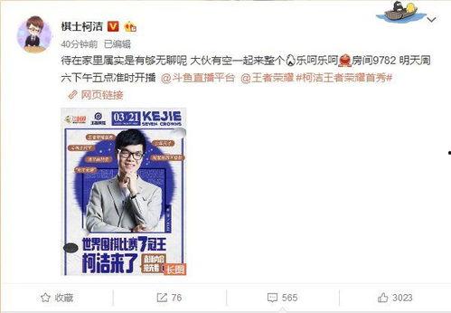 奇葩求职者爆料视频播放,求职现场笑料百出 第3张 奇葩求职者爆料视频播放,求职现场笑料百出 第3张