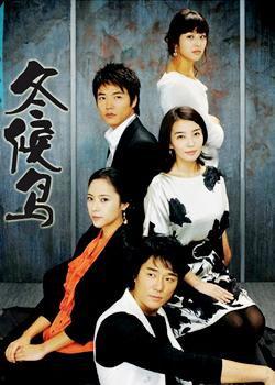 韩剧冬鸟在线观看,冬日里的温暖邂逅