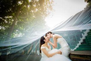 伪婚男女电影在线观看  第2张