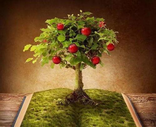 网红小鱼海棠吃瓜  第3张